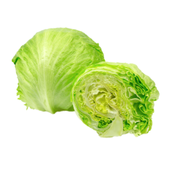 Icberg Lettuce