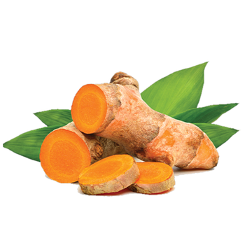 جذور الكركم