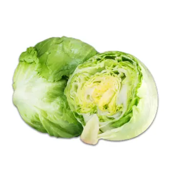 Lettuce Iceberg