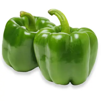 Green Pepper Family Pack