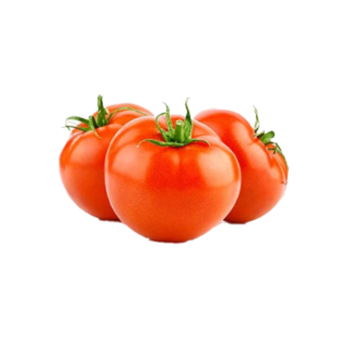 Tomato Family Pack
