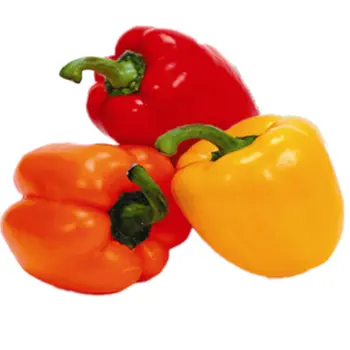 فلفل مشكل طازج