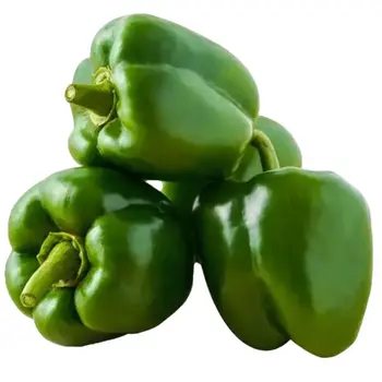 Green Pepper