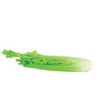 Celery Stick
