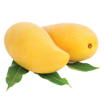Mango Yasmin