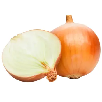 بصل أصفر