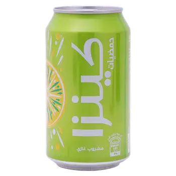 Kinza Citrus Soft Drink 360ml