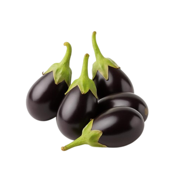 Eggplan Makdos  - Baby Black 500g