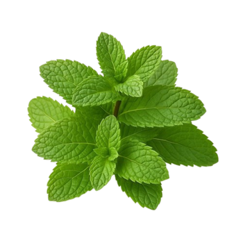 Mint 85g