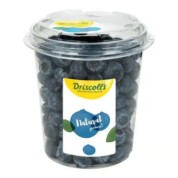 توت دريسكولز الأزرق 500 جرام