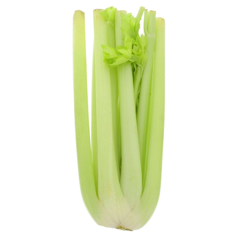 Celery Stick Spain1Piece