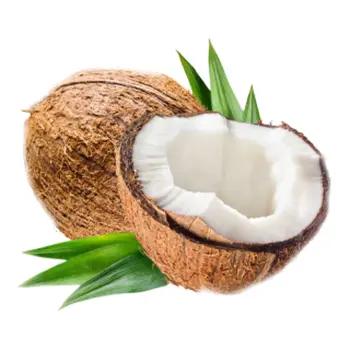 India Coconut Each 1Piece
