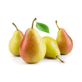 Syrian pear