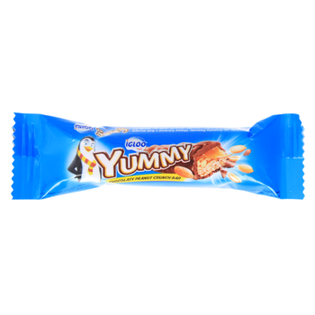 Igloo Chocolate Peanut Bar 20g