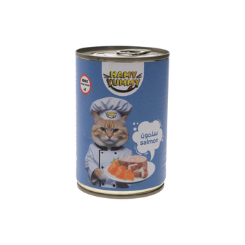 هامي يامي طعام قطط باتيه سلمون 400جرام