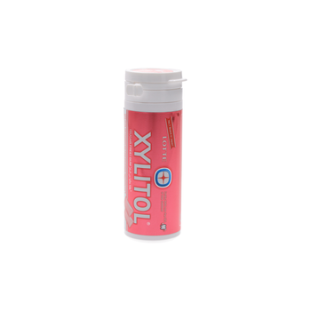 Lotte Xylitol Raspberry-Mint Chewing Gum 29g