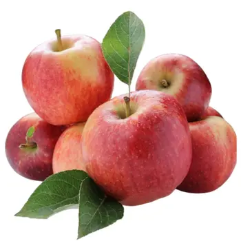 Gala Apple 1Kg