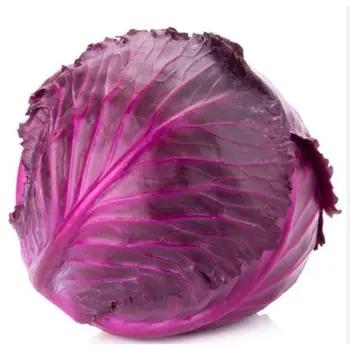 ملفوف أحمر 1كيلو