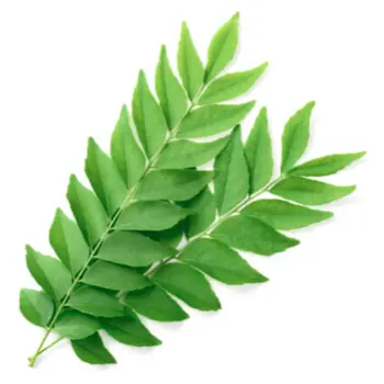 أوراق كاري 100جرام