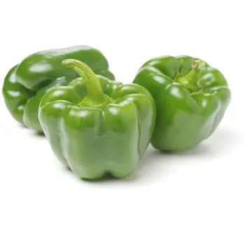 Green Medium Pepper 1kg