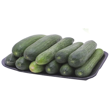 Qassim Fresh Cucumber Green 1kg