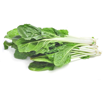 سلك أخضر حزمة 350جرام