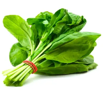 السعودية معجون طماطم 8×135جرام