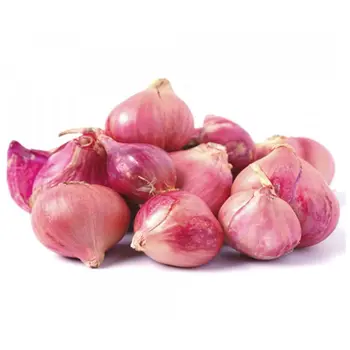 بصل احمر 1كيلو