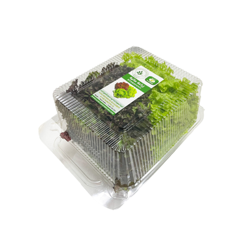 Hydroponic Mix lollo bionda & lollo rosso 200g