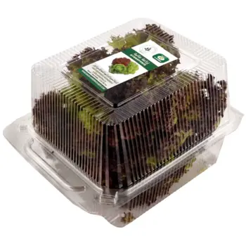 Hydroponic lollo Rosso lettuce 200g