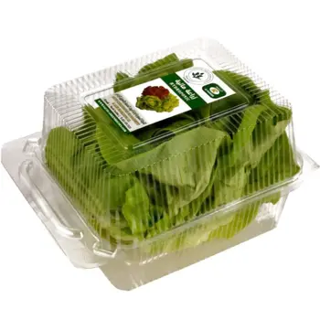 Hydroponic Butterhead Lettuce 170g