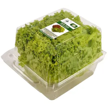 Hydroponic Lollo Bionda Lettuce 200g