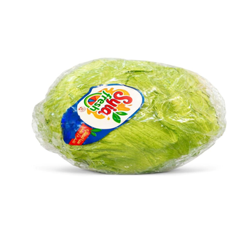 Iceberg Lettuce 1Kg