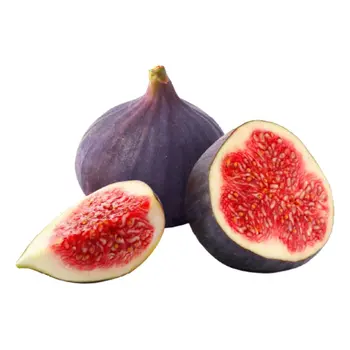 Fig