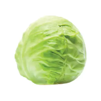 Cabbage White Leaf