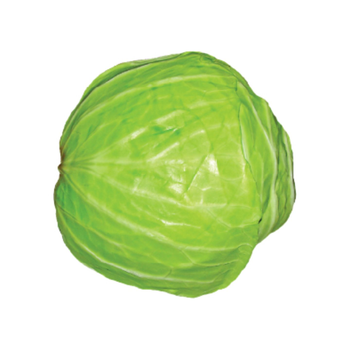 Cabbage Leaf