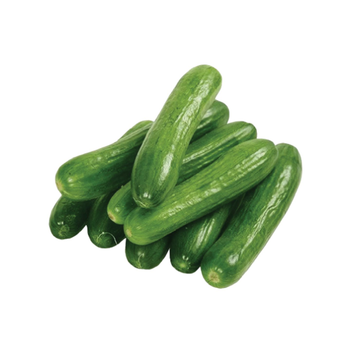Cucumber Fresh