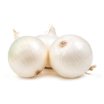 Onion White
