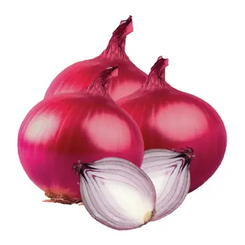 Onion Red