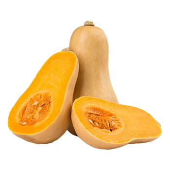 Butternut Squash Sweet Local