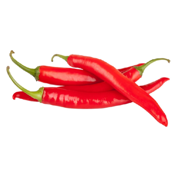 Chili Hot Red Long