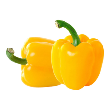 Chili Bell Yellow