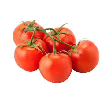 Green House Tomato