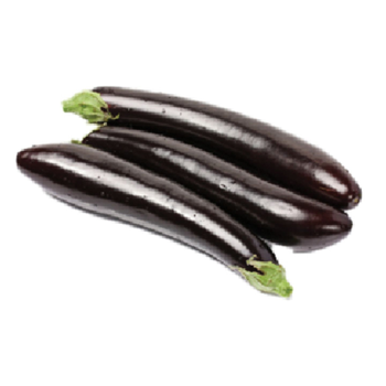Eggplant Long Balck