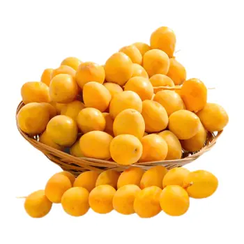 Rutab