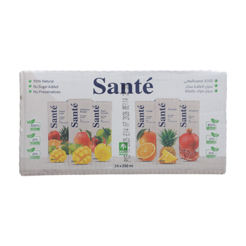 Sante Mixed Fruit Juice 24×200Ml