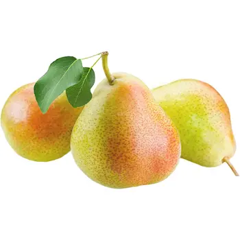 African Pear