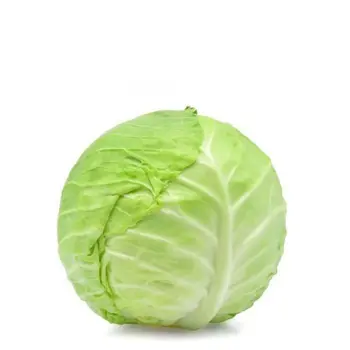 Qassim White Cabbage