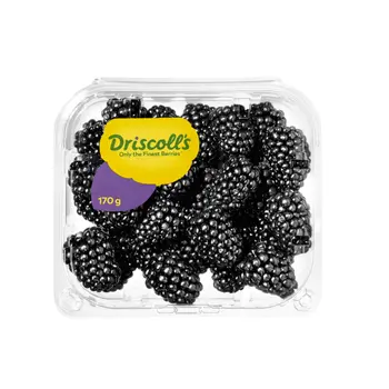 توت اسود امريكي 170جرام