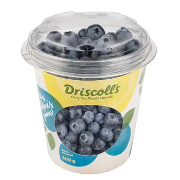 Driscoll's Blueberry 500g